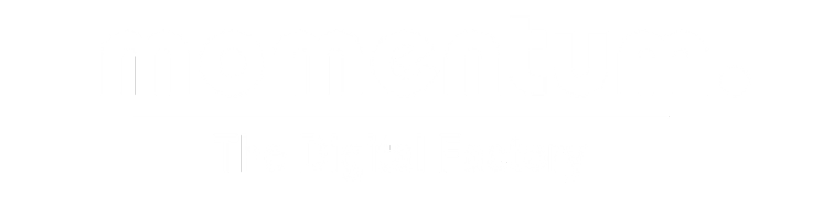 Momentum - Performance Agency